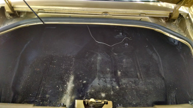 1979 pontiac firebird trans am coupe 2-door 4.9l