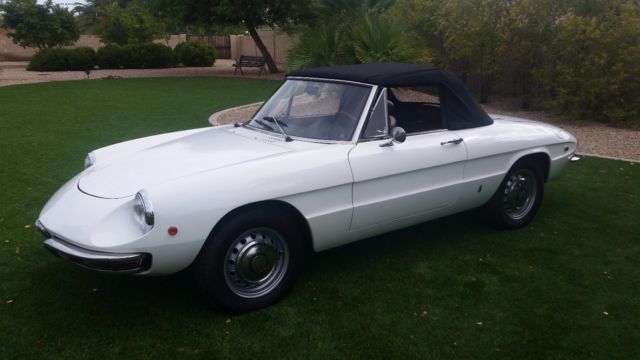 stunning 1969 alfa romeo duetto *** showroom kept *** one of a kind