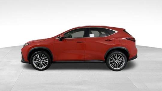 2025 lexus nx 350 luxury