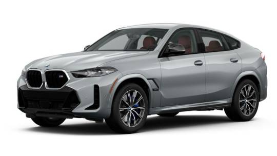2025 BMW X6