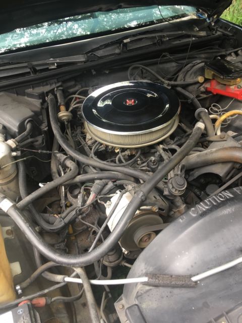 !986 el camino conquesta package