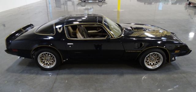 81 pontiac trans am bandit custom