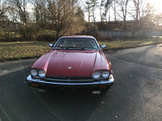 1991 jaguar xjs 52,000 miles clean car fax celebrating 49 years same location