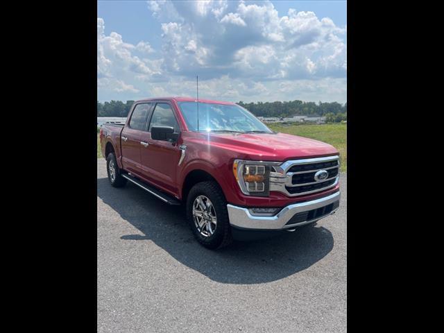 2021 ford f-150 xlt