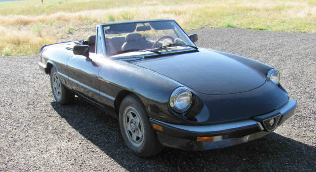 1984 alfa spider veloce low mileage
