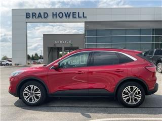 2022 Ford Escape sel