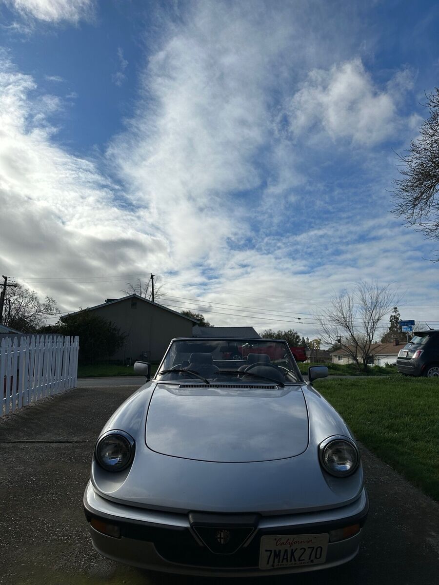 1987 alfa romeo spider grey quadrifoglio