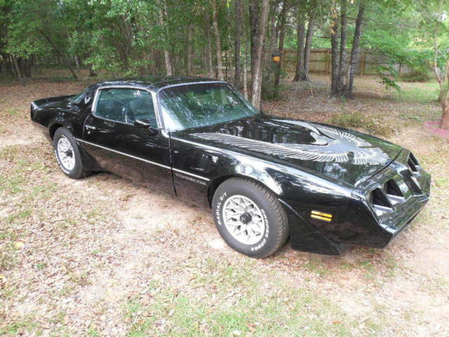 rare 1981 black turbo trans am
