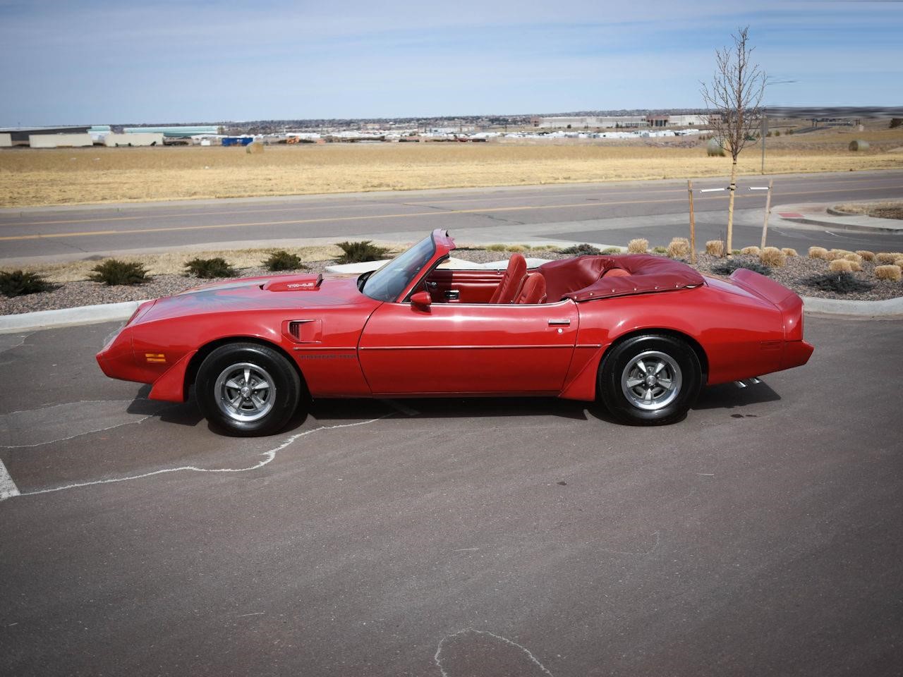 1981 pontiac firebird
