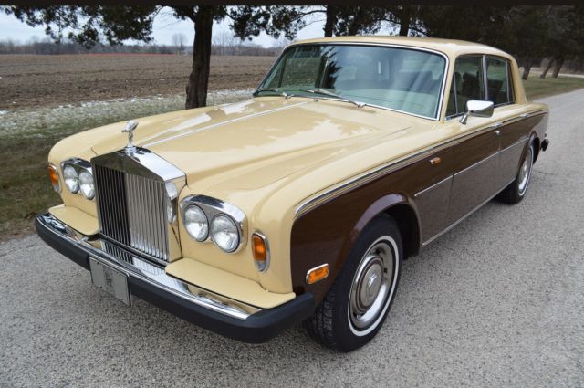 ** cyber monday special ** a beautiful shadow ii from america's best in rr & bs