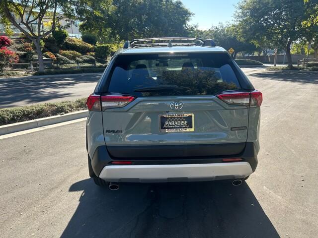 2019 toyota rav4 adventure