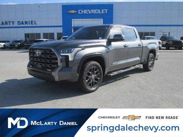 2022 toyota tundra platinum