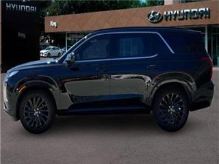 2024 Hyundai Palisade calligraphy night edition