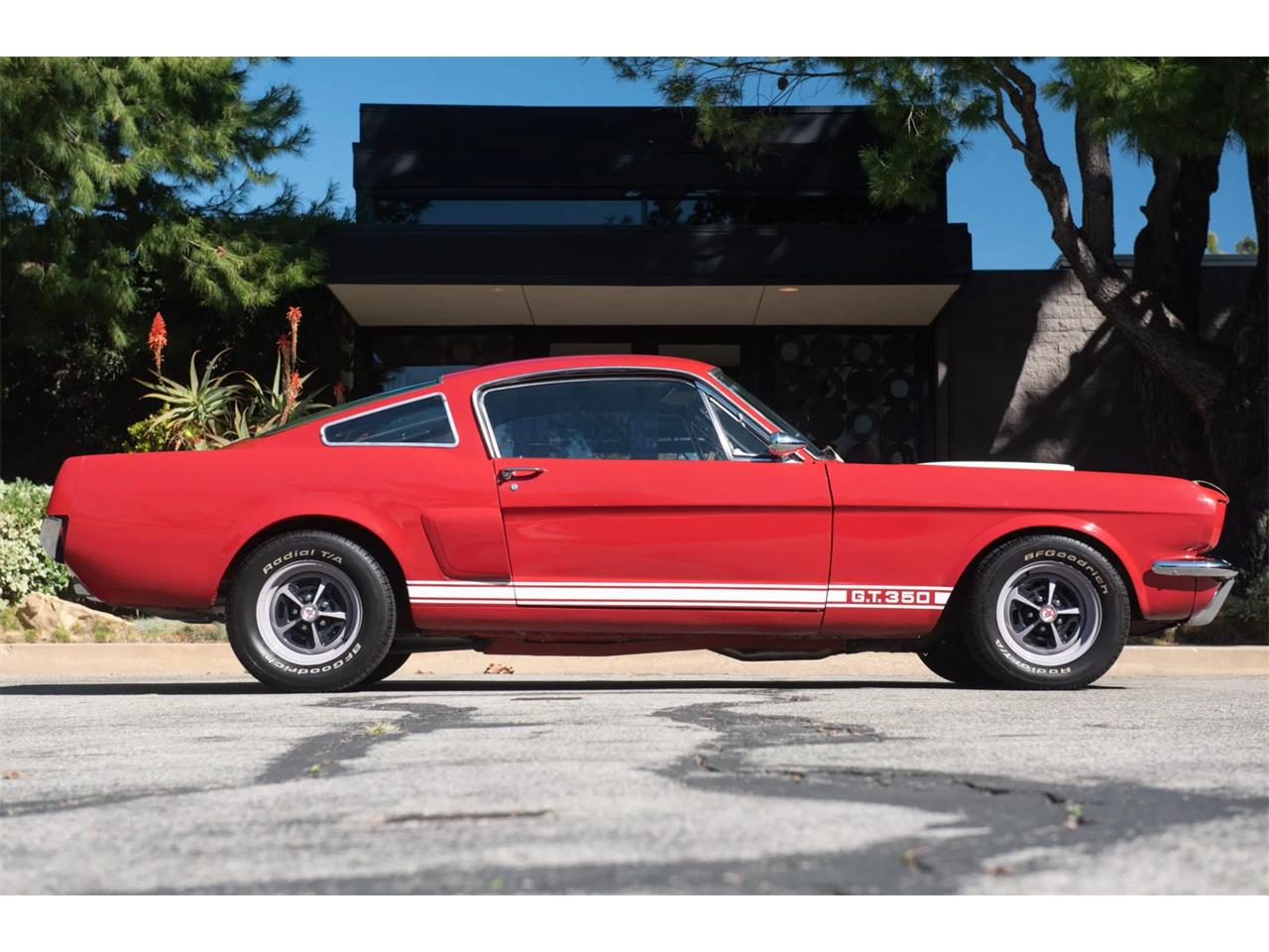 shelby gt350