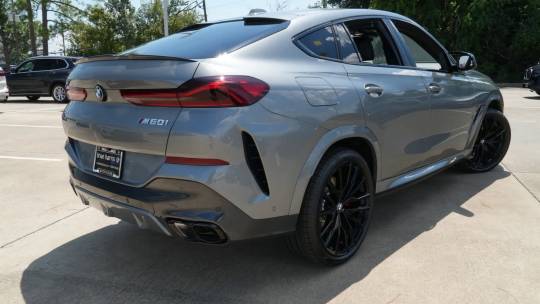 2025 BMW X6