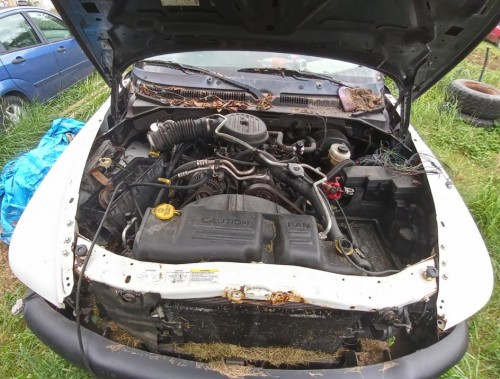 2002 dodge dakota slt for sale in ohio by owner