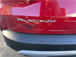 2023 Ford Escape platinum