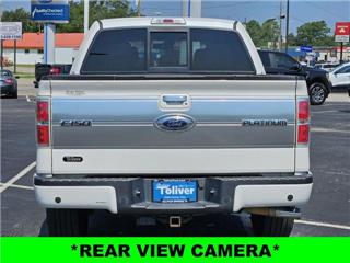2013 Ford F-150 platinum
