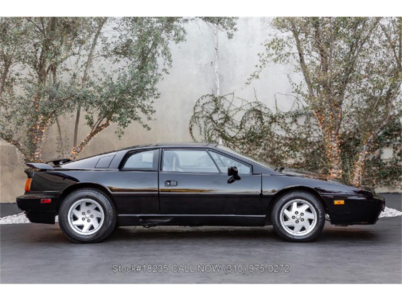 1988 lotus esprit