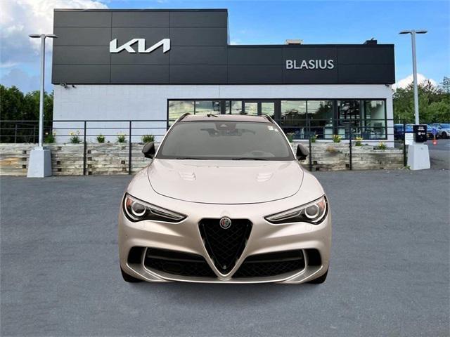 2019 alfa romeo stelvio quadrifoglio