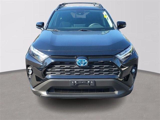 2023 toyota rav4 hybrid woodland edition in norwich, connecticut