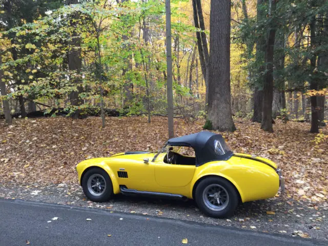 superformance cobra, 513 ci, 5 spd, soft top and side curtains, gorgeous!