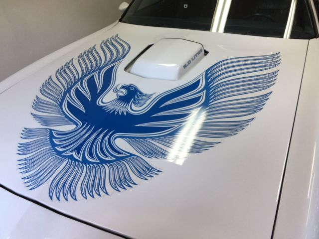 1981 pontian firebird trans~am only 32k showroom condition