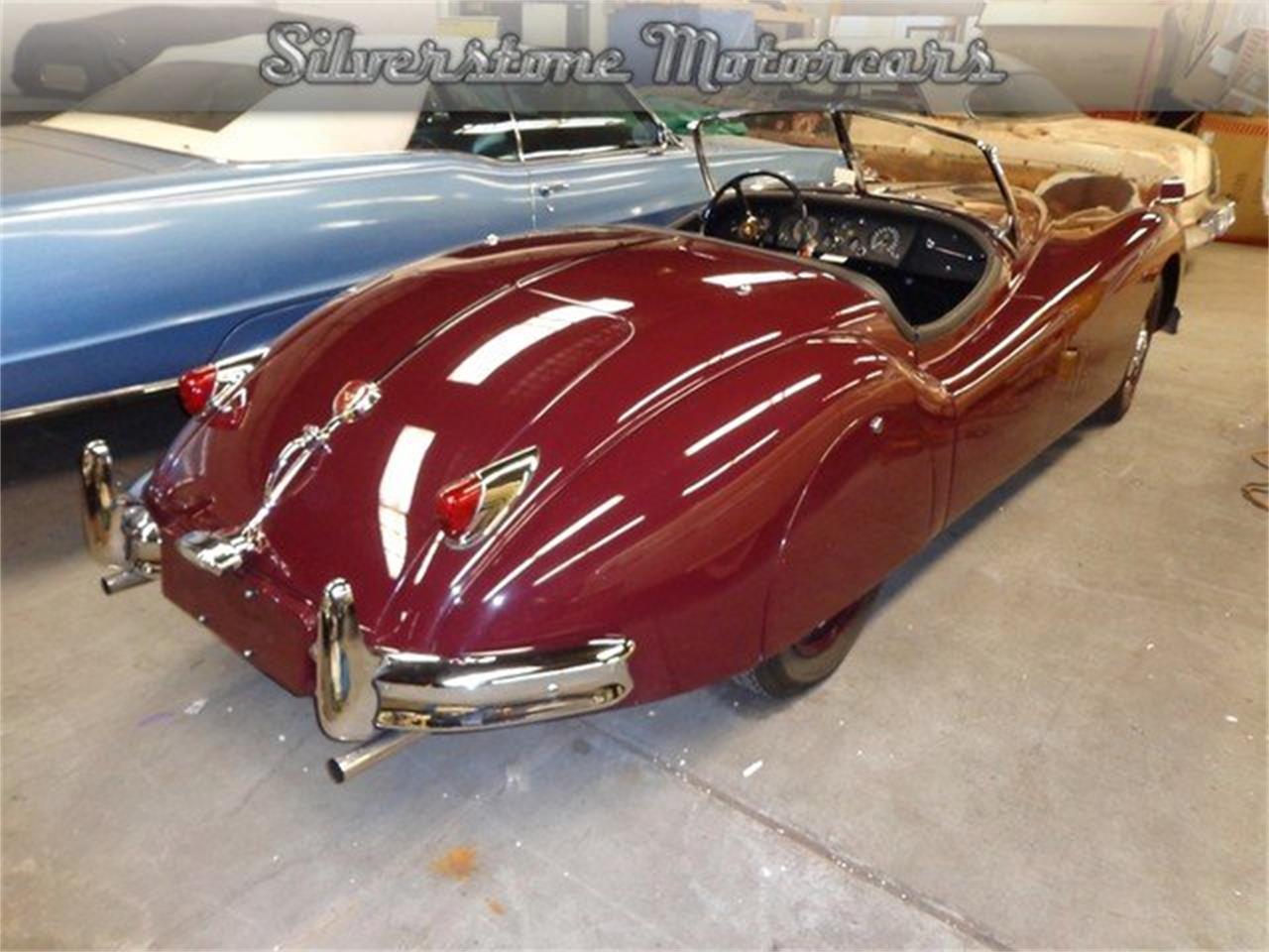 1955 jaguar xk