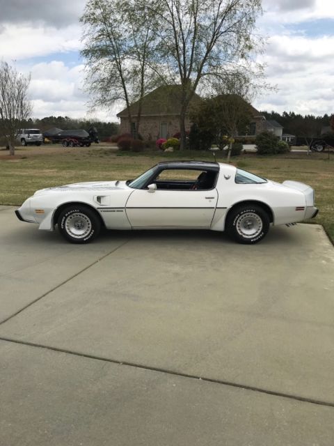 1981 pontiac trans am daytona pace car recaro limited edition