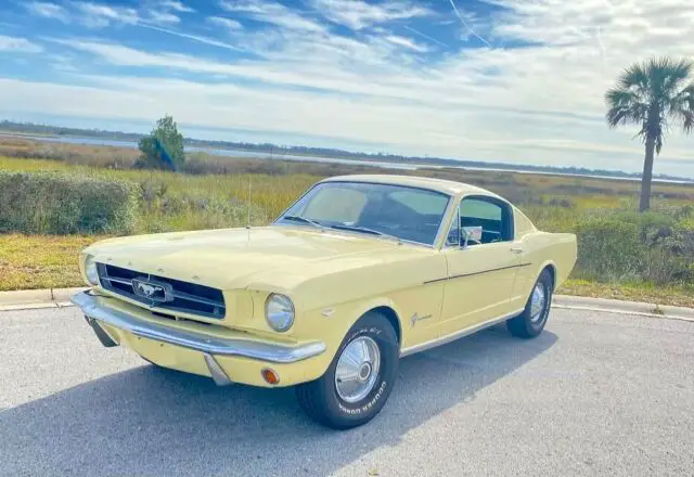 1965 ford mustang fastback c code 289