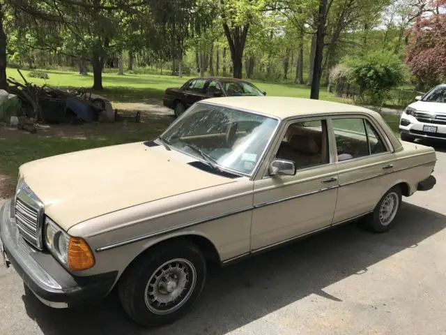1981 mercedes benz 240d