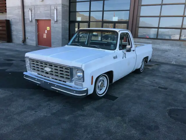 1976 chevy truck, all original, barn find, patina shop truck