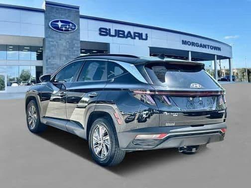 2022 hyundai tucson hybrid blue in morgantown, west virginia
