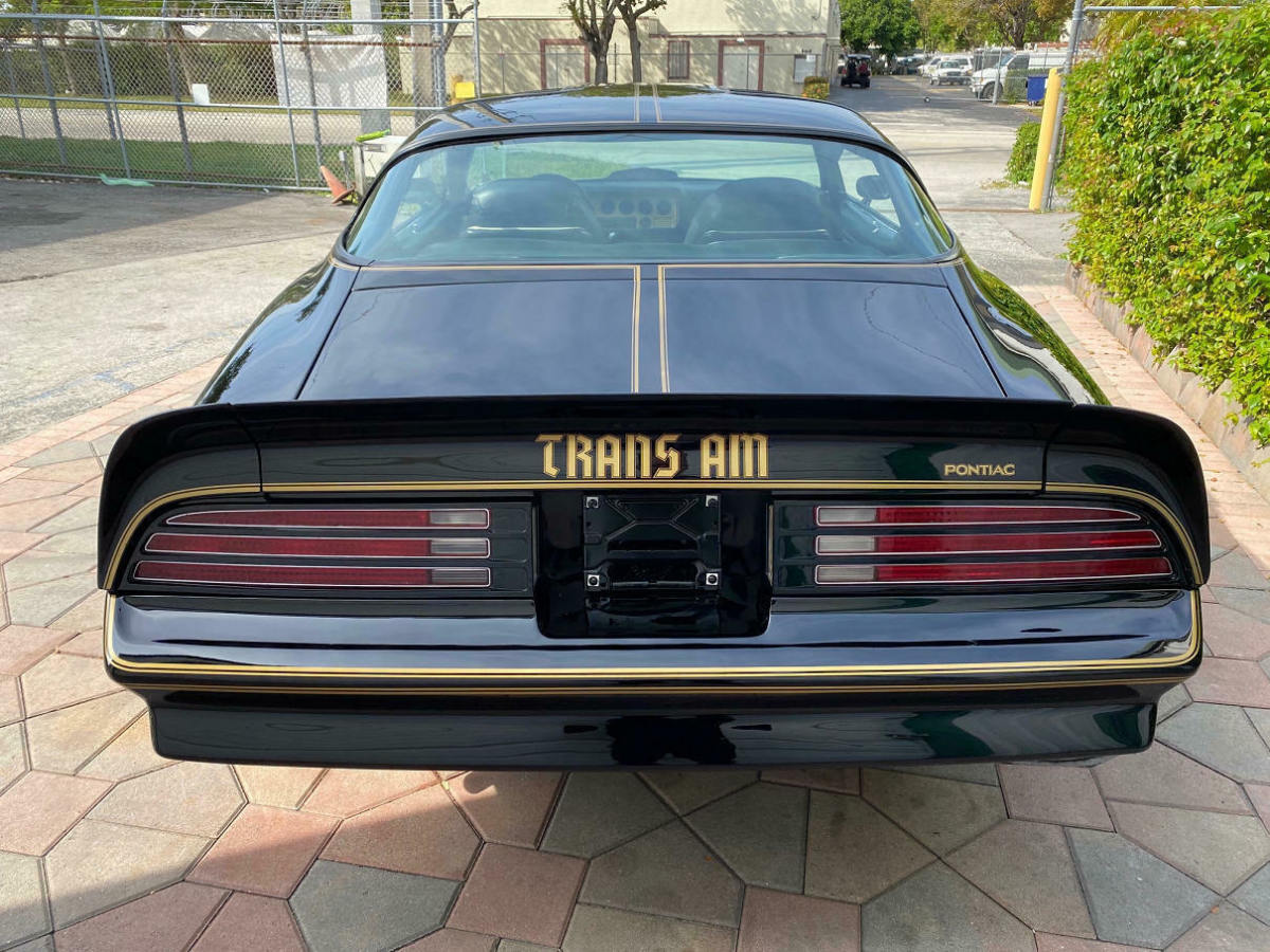 1977 pontiac trans am special edition y84 4 speed 6,6 the bandit