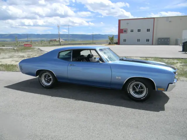 1970 chevrolet chevelle ss, 700 hp 496, pump gas, show and go, pro touring,video