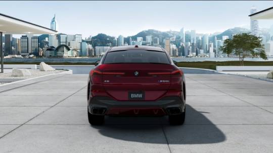 2025 BMW X6