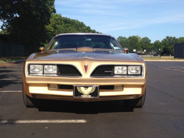 78 trans am, survivor