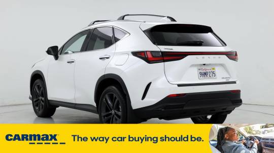 2024 Lexus NX