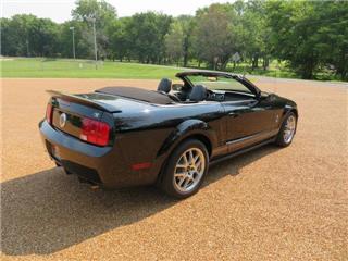 2007 Ford Shelby gt500 base