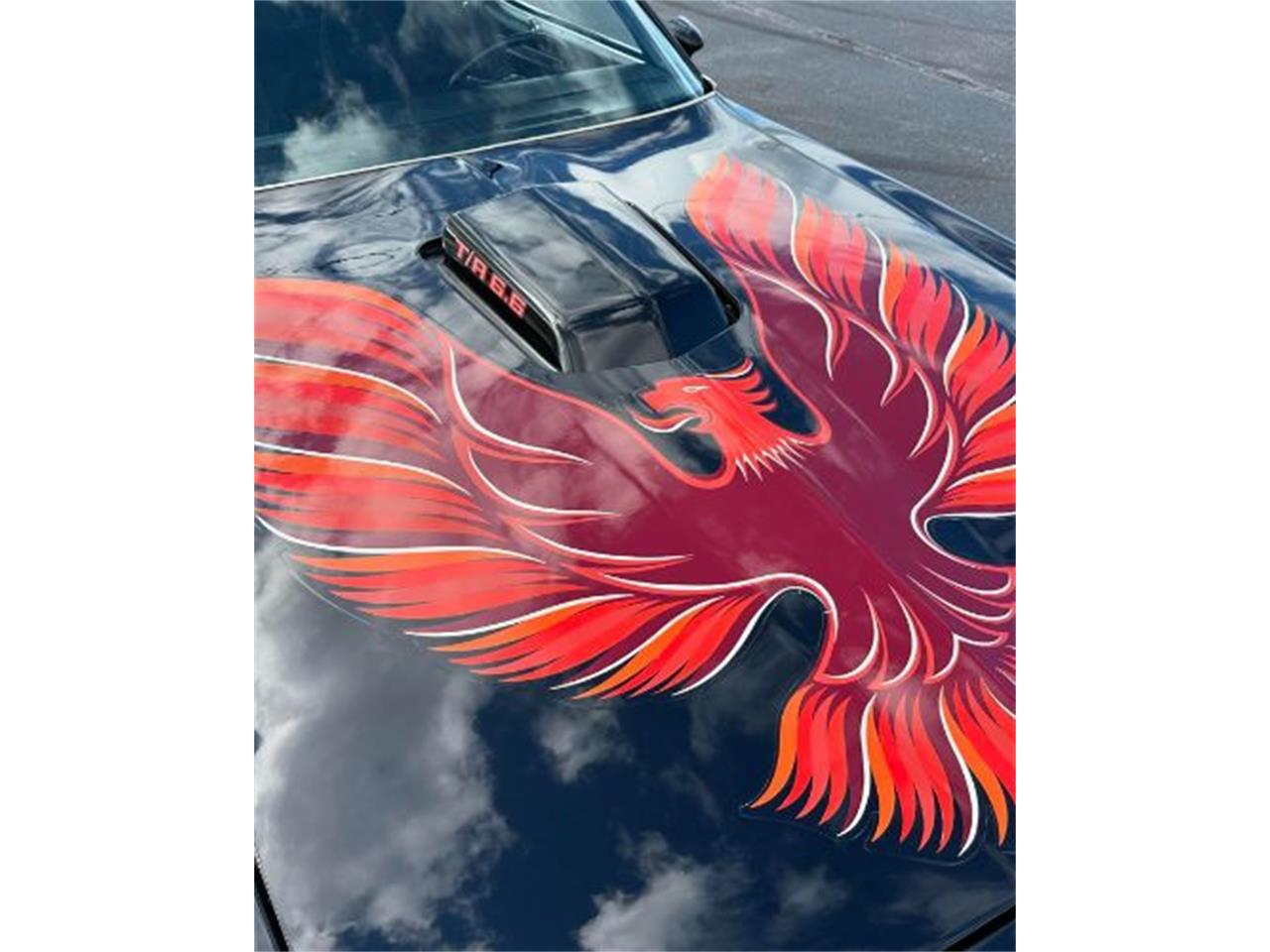 1979 pontiac firebird trans am