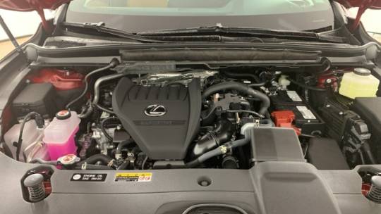 2025 Lexus RX