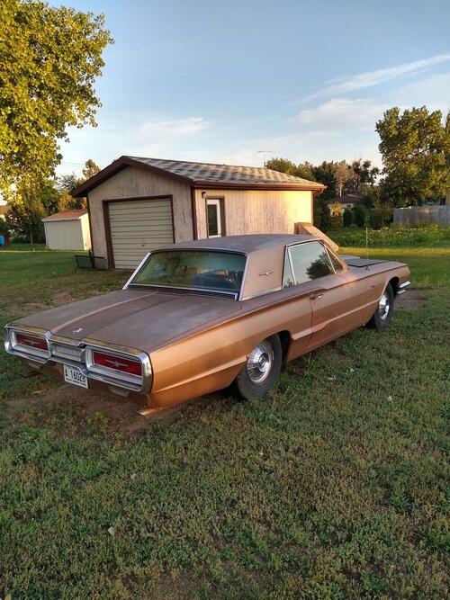 1964 ford thunderbird