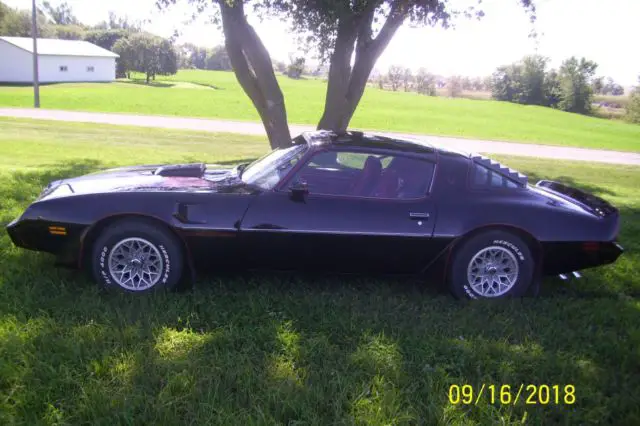 1981 pontiac trans am 2 owner car glass t tops, 26000 actual miles, all original