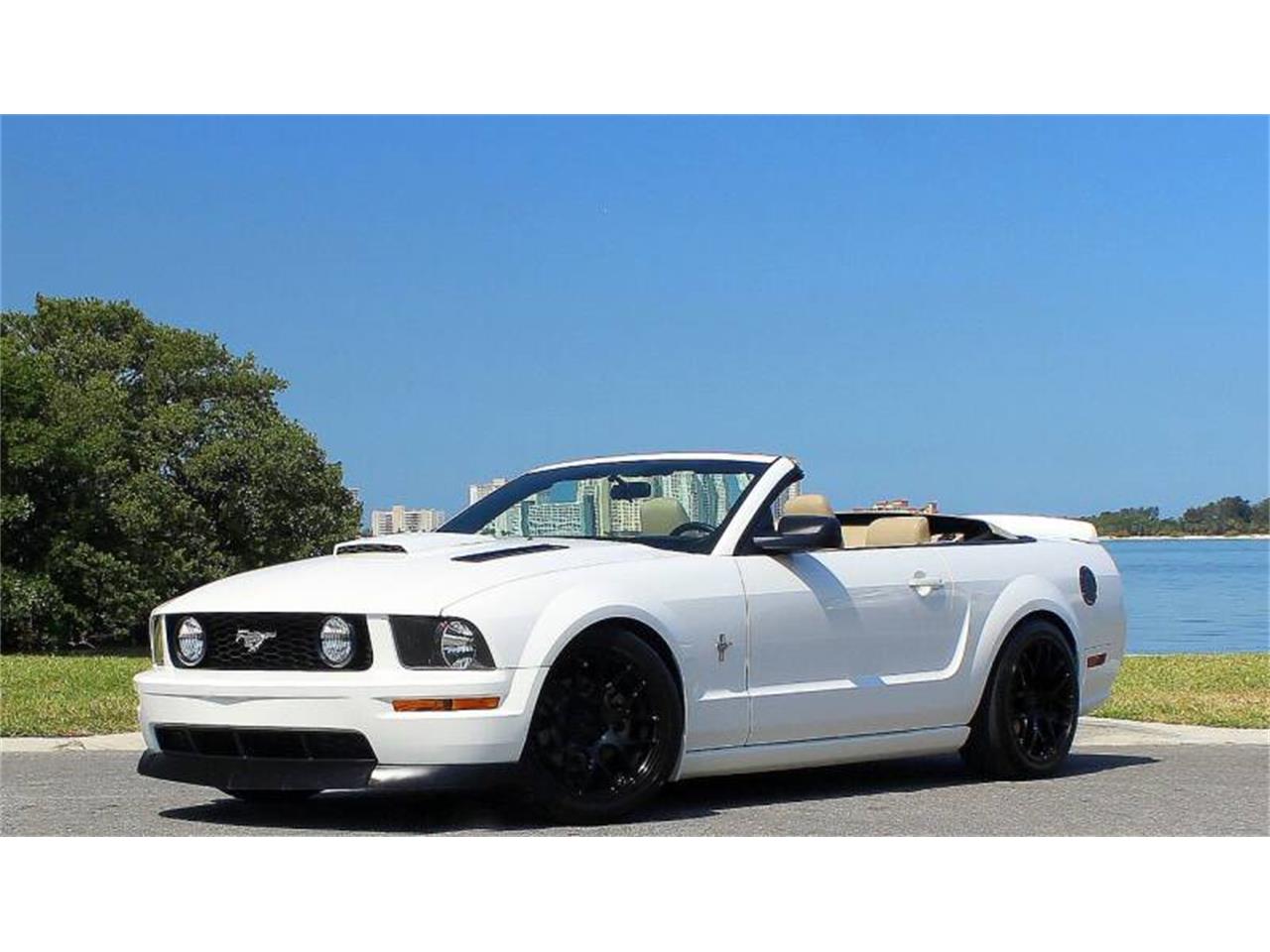 2007 ford mustang
