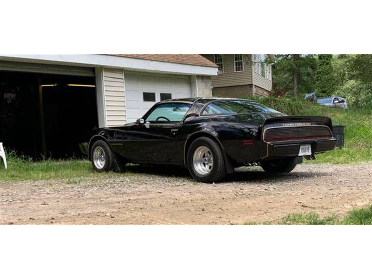 1980 pontiac firebird trans am