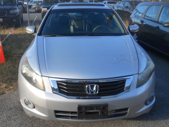 2008 honda accord ex-l
