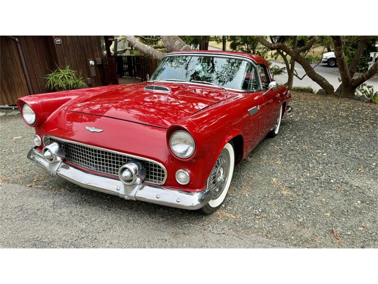 1956 ford thunderbird