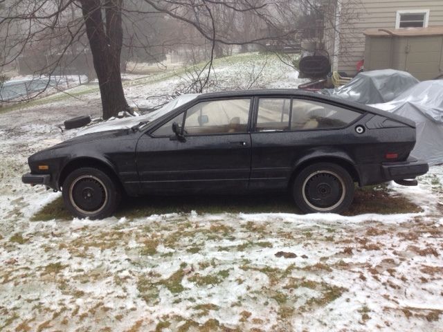 1984 alfa romeo gtv