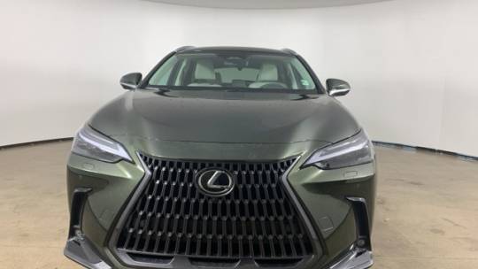 2025 Lexus NX