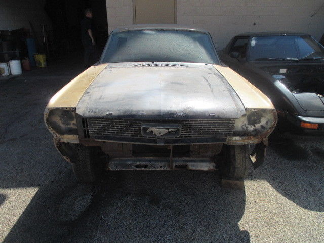 1966 ford mustang (barn find) project